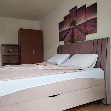 Apartman Franc *